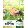 imageCarlyle Bacopa Monnieri Capsules  180 Capsules  Gluten Free Supplement