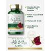 imageCarlyle Coleus Forskohlii Capsules  625mg  100 Count  NonGMO ampamp Gluten Free Standardized Extract  Forskolin Supplement
