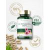 imageCarlyle Echinacea Capsules 650mg  120 Count  NonGMO ampamp Gluten Free Supplement