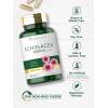 imageCarlyle Echinacea Capsules 650mg  120 Count  NonGMO ampamp Gluten Free Supplement