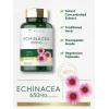 imageCarlyle Echinacea Capsules 650mg  120 Count  NonGMO ampamp Gluten Free Supplement