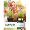 imageCarlyle Echinacea Capsules 650mg  120 Count  NonGMO ampamp Gluten Free Supplement