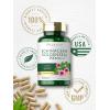 imageCarlyle Echinacea Goldenseal Capsules  110 Count  900mg  Vegetarian NonGMO Gluten Free