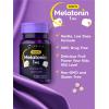 imageCarlyle Kids Melatonin 1mg  120 Chewable Tablets  Fruit Flavor  Vegetarian Supplement  NonGMO Gluten Free Formula
