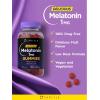 imageCarlyle Melatonin 1mg Gummies  90 Count  Fruit Flavor Gummy Supplement  Vegan NonGMO Gluten Free90 Count Pack of 1