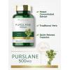 imageCarlyle Purslane Capsules  500mg  120 Count  Portulaca Oleracea Extract  NonGMO Gluten Free Supplement