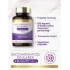 imageCarlyle Saccharomyces Boulardii Probiotics ampamp Prebiotics  10 Billion CFUs  200 Capsules  Value Size  NonGMO Gluten Free Supplement