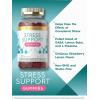 imageCarlyle Stress Support Gummies  50 Count  with GABA and LTheanine  Strawberry Lemon Flavor  NonGMO Gluten Free Supplement