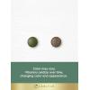 imageCarlyle Supergreens Gummies  50 Count  Apple Flavor  Vegan NonGMO and Gluten Free Supplement