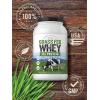 imageCarlyle Grass Fed Whey Protein Powder  2lb  33g of Protein Per Serving  Unflavored  Sugar and Hormone Free  NonGMO and Gluten Free Supplement  by Herbage Farmstead