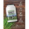 imageCarlyle Grass Fed Whey Protein Powder  2lb  33g of Protein Per Serving  Unflavored  Sugar and Hormone Free  NonGMO and Gluten Free Supplement  by Herbage Farmstead
