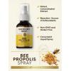 imageCarlyle Bee Propolis Throat Spray  2 fl oz  Source of Antioxidants  Bioactive Supplement  NonGMO  by Beehives Best