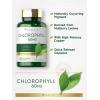 imageCarlyle Chlorophyll Pills  90 Capsules  Naturally Occurring Pigment  Chlorophyll Concentrate Supplement  NonGMO Gluten Free Complex