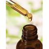 imageCarlyle Fenugreek Extract Liquid  2 fl oz  Vegetarian Tincture  NonGMO Gluten Free  Traditional Herbal Supplement Drops