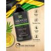 imageCarlyle Jamaican Black Castor Oil 16oz  Nourish Hair Skin and Nails  All Natural Hypoallergenic Conditioner