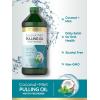 imageCarlyle Pulling Oil for Teeth ampamp Gums  16 Fl Oz Pack of 2  Coconut and Mint  Alcohol Free ampamp NonGMO