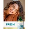 imageCarlyle Pulling Oil for Teeth ampamp Gums  16 Fl Oz Pack of 2  Coconut and Mint  Alcohol Free ampamp NonGMO