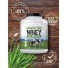 imageCarlyle Grass Fed Whey Protein Powder  5lb 80 oz  33g of Protein Per Serving  Unflavored  Sugar and Hormone Free  NonGMO and Gluten Free Supplement  by Herbage Farmstead