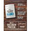 imageCarlyle Multi Collagen Protein Powder for Women and Men  9 Oz  Type I II III V X  Premium Complex Supplement  Unflavored  NonGMO and Gluten Free  by Herbage Farmstead