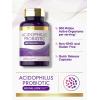 imageCarlyle Acidophilus Probiotic Capsules for Women and Men  500 Million CFU  200 Pills  Lactobacillus Supplement  NonGMO and Gluten Free