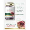 imageCarlyle Sea Moss Gummies  70 Count  Strawberry Blueberry Flavor  Vegan NonGMO Gluten Free Supplement