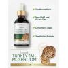 imageCarlyle Turkey Tail Mushroom Liquid Extract  2 FL Oz  Vegetarian Tincture  NonGMO Gluten Free