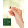 imageCarlyle Chlorella Blue Green Algae 250mg  200 Tablets  Vegetarian NonGMO Gluten Free Supplement  Tahoe Nutritionals