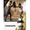 imageCarlyle HMB Supplement for Men ampamp Women  1000 mg  120 Capsules  Advanced Athlete Formula  NonGMO and Gluten Free