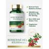 image:imageCarlyle Berberine HCL Supplement  500000mcg  60 Capsules  Vegetarian NonGMO Gluten Free