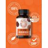 image:imageCarlyle Reishi Mushroom Capsules Extract  5000mg  120 Count  NonGMO amp Gluten Free Supplement  by Wiseshrooms