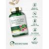 image:imageCarlyle Echinacea Goldenseal Capsules  150 Count  Vegetarian NonGMO Gluten Free