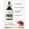 image:imageCarlyle Sea Moss Liquid Drops  2 Fl Oz  Vegan NonGMO Gluten Free Formula