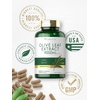 image:imageCarlyle Olive Leaf Extract Capsules  70 Count  NonGMO Gluten Free  High Potency Supplement100 Count Pack of 1