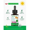 image:imageLil Sprouts Baby Probiotic Drops  25 Billion CFU  05 fl oz 15 mL  with Organic Sunflower Oil  Liquid Supplement for Newborns  NonGMO Gluten free